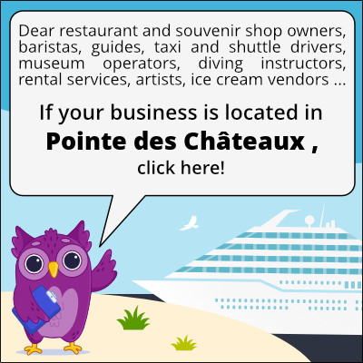 to business owners in Pointe des Châteaux 