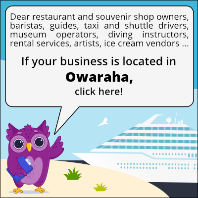 to business owners in Owaraha